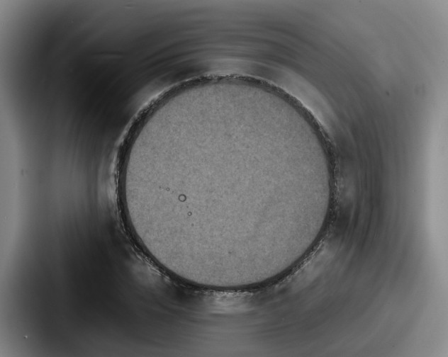 X0000087710832200705111419