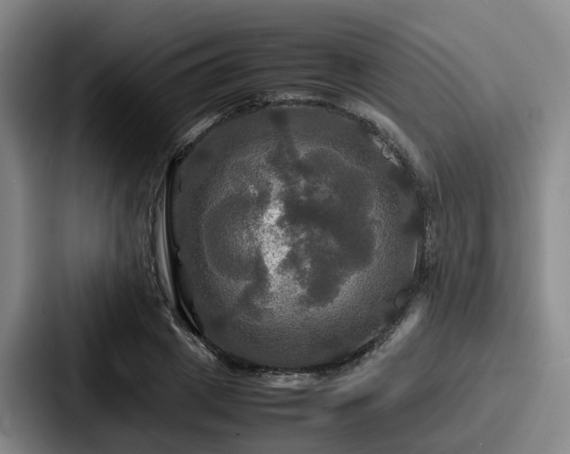 X0000087710833200705111419
