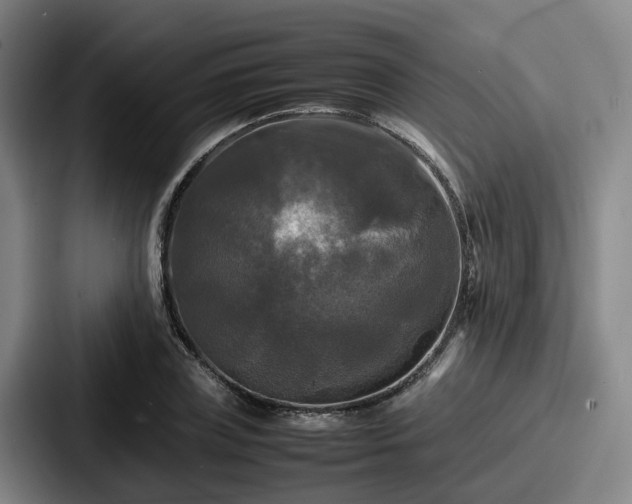 X0000087710835200705111419