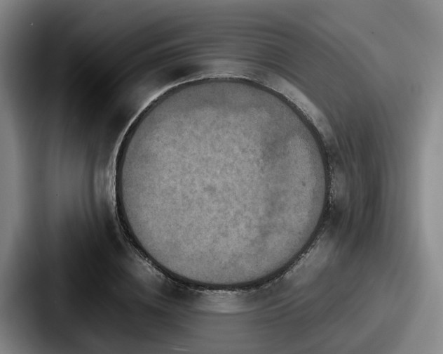 X0000087710836200705111419