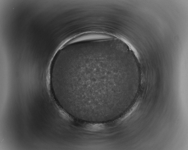 X0000087710837200705111419