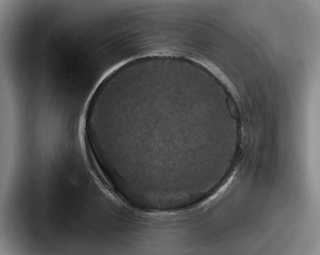 X0000087710838200705111419