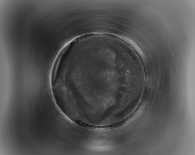 X0000087710839200705111419