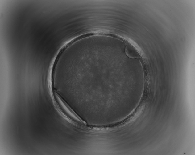 X0000087710840200705111419