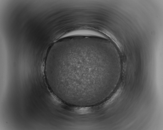 X0000087710841200705111420