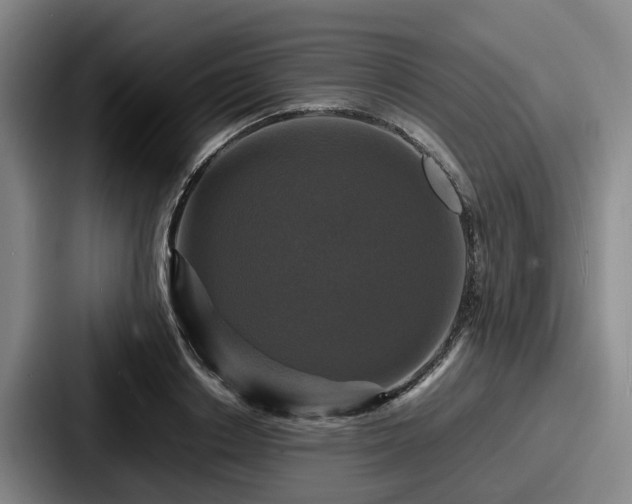X0000087710842200705111420