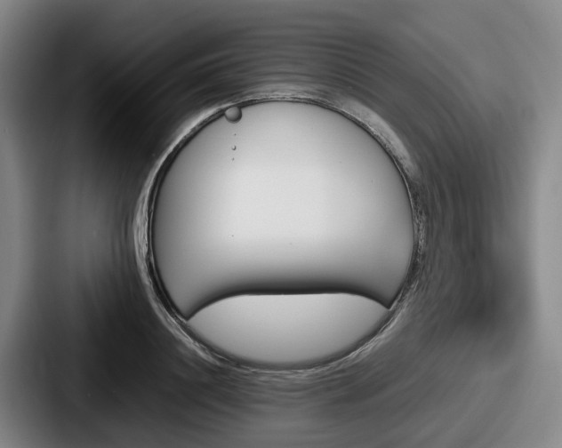 X0000087710844200705111420