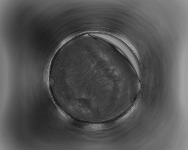 X0000087710845200705111420