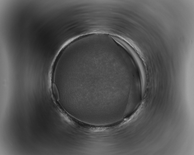 X0000087710846200705111420