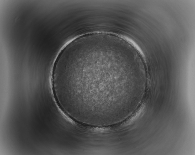 X0000087710847200705111420