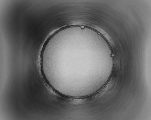 X0000087710848200705111420