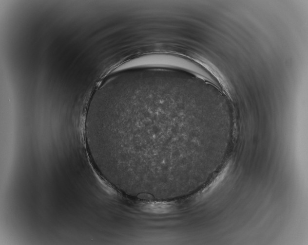 X0000087710849200705111420