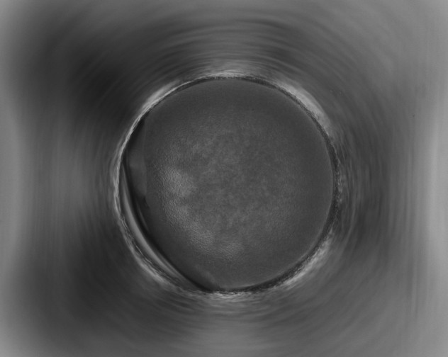 X0000087710850200705111420