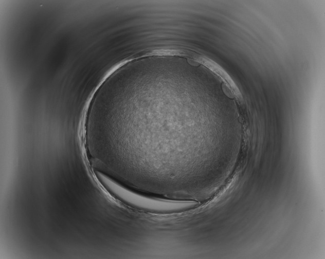 X0000087710852200705111420