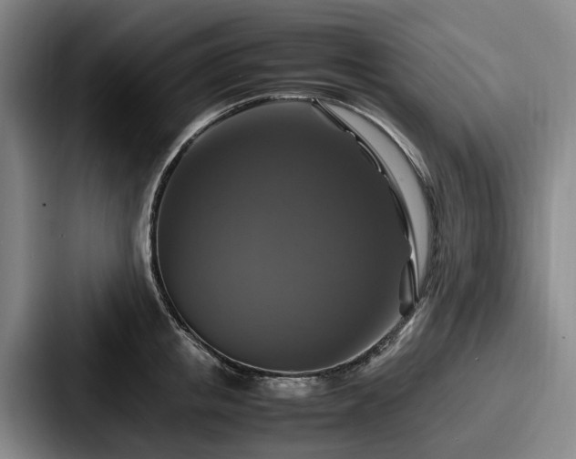 X0000087710853200705111420