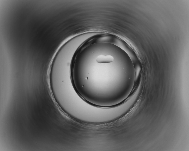 X0000087710854200705111420