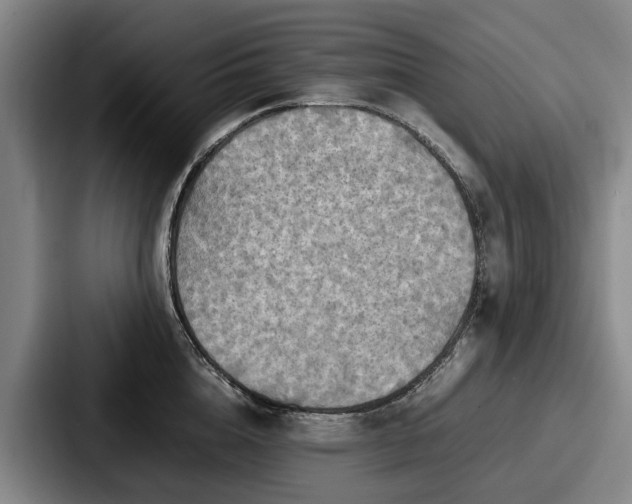 X0000087710856200705111420