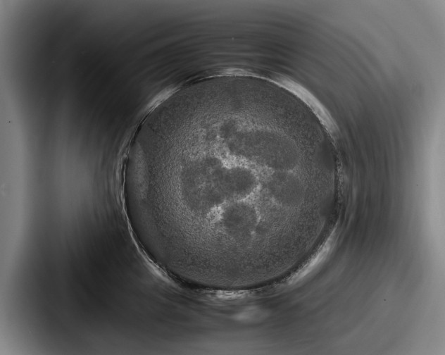 X0000087710857200705111420