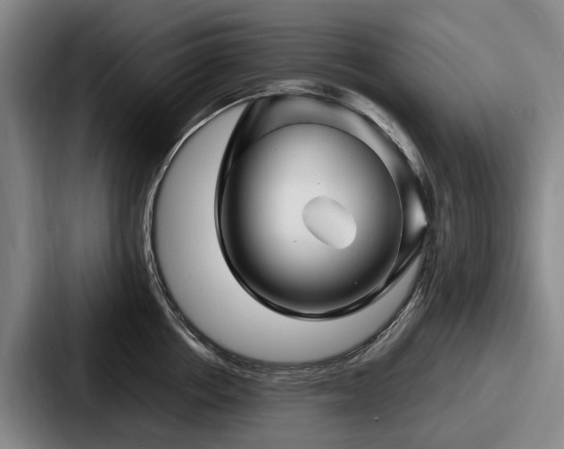 X0000087710858200705111420