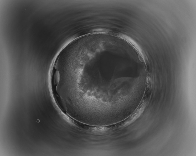 X0000087710859200705111420