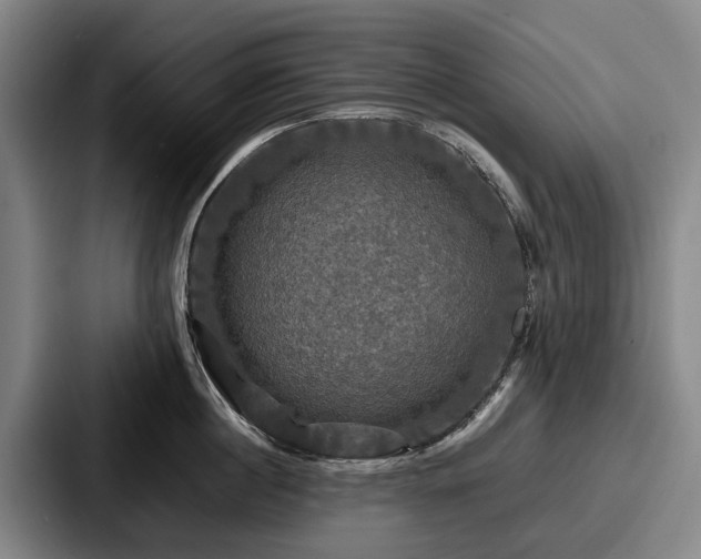 X0000087710860200705111420