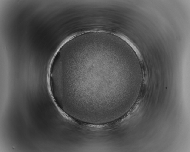 X0000087710861200705111420