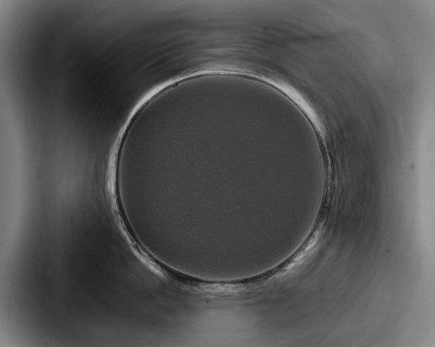 X0000087710862200705111420