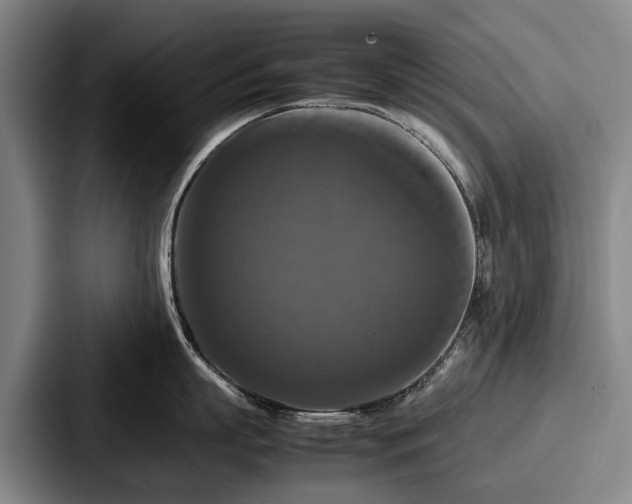 X0000087710863200705111420