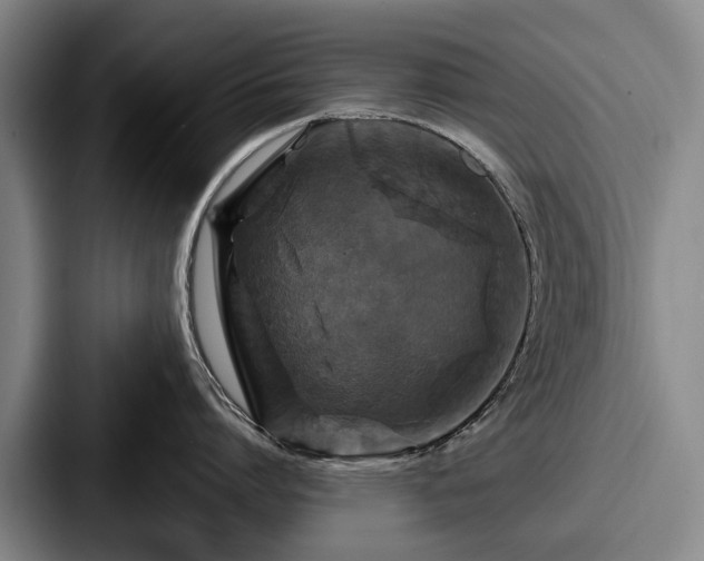 X0000087710864200705111420