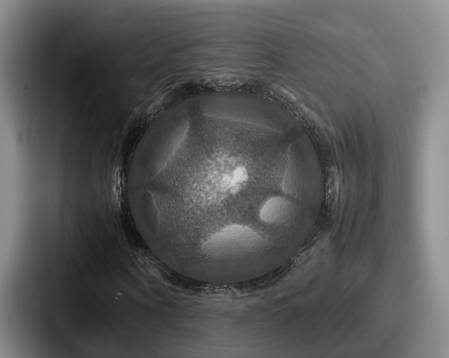X0000087710866200705111419