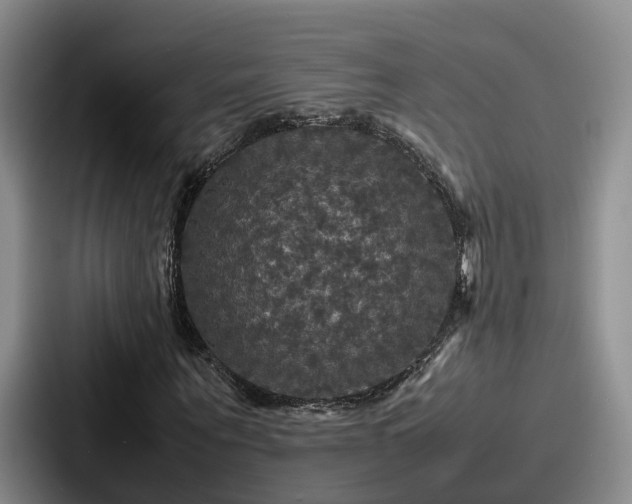 X0000087710867200705111419