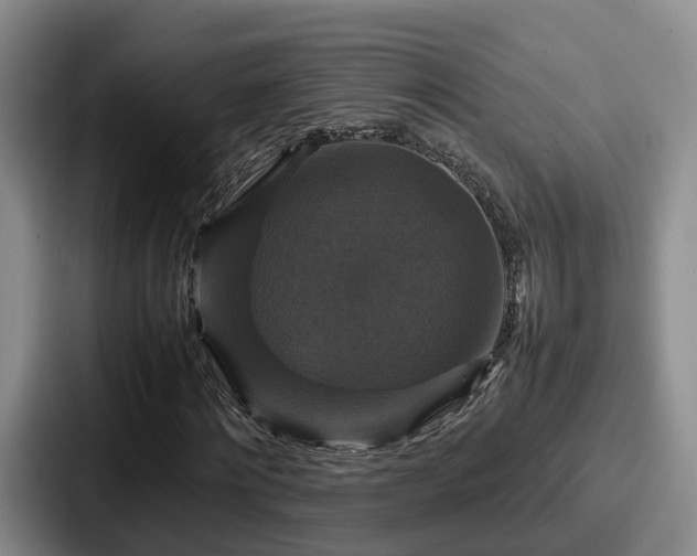 X0000087710868200705111419