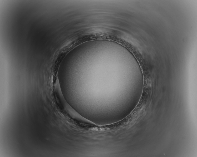 X0000087710869200705111419