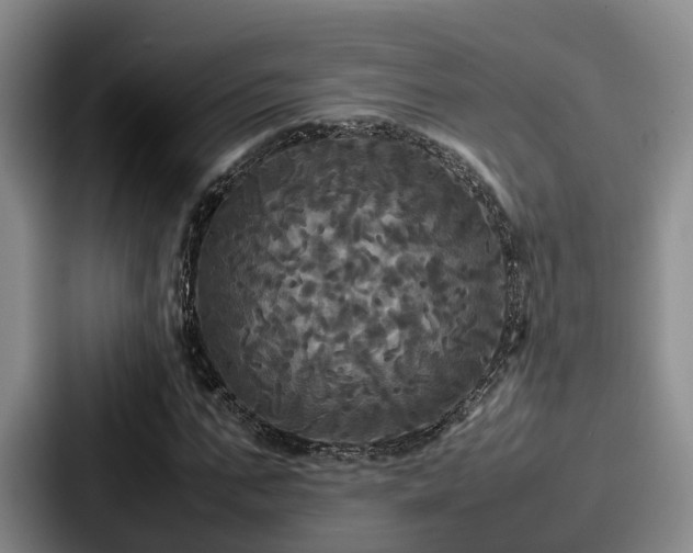 X0000087710871200705111419