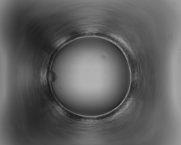 X0000087710873200705111419