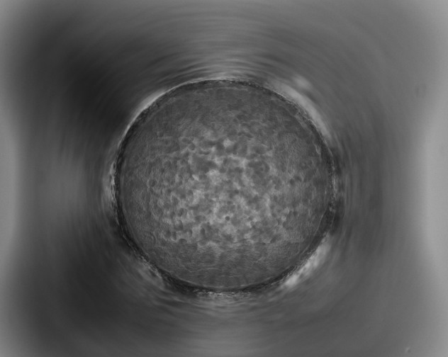 X0000087710875200705111419
