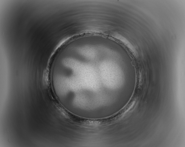 X0000087710878200705111419