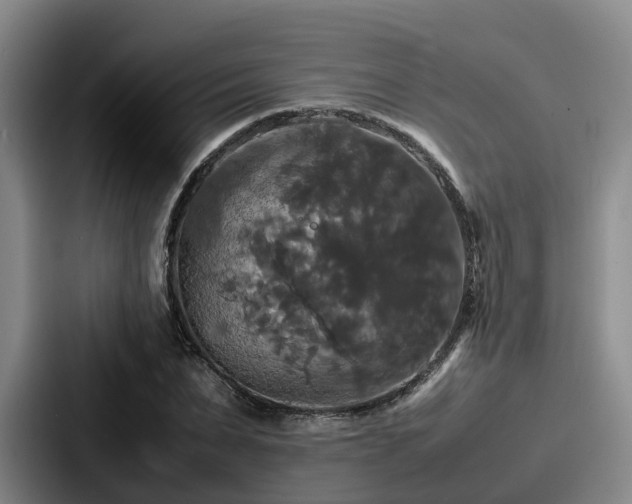 X0000087710879200705111419
