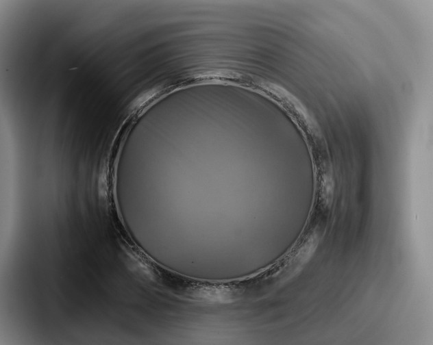 X0000087710882200705111419