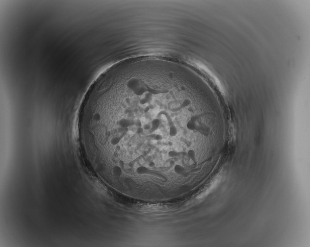 X0000087710883200705111419