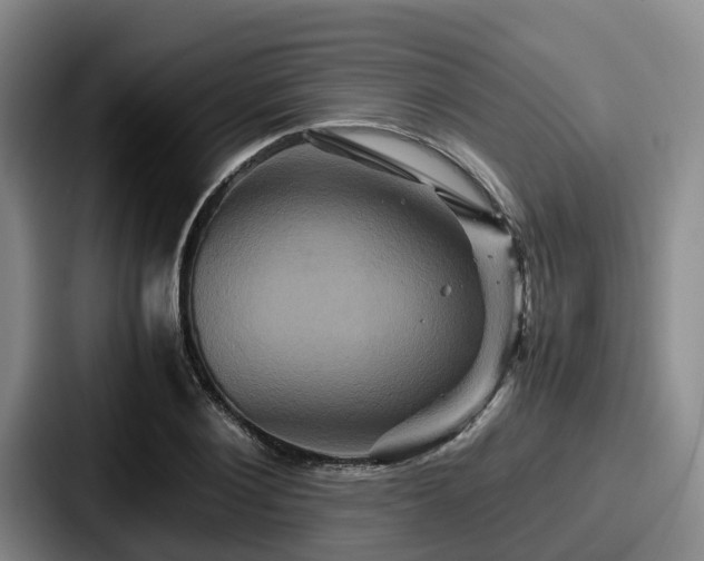 X0000087710884200705111419