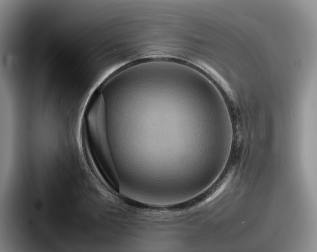 X0000087710885200705111419