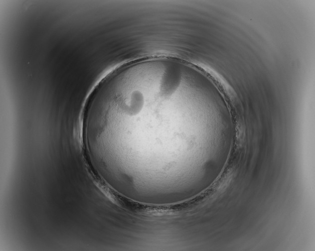 X0000087710886200705111419