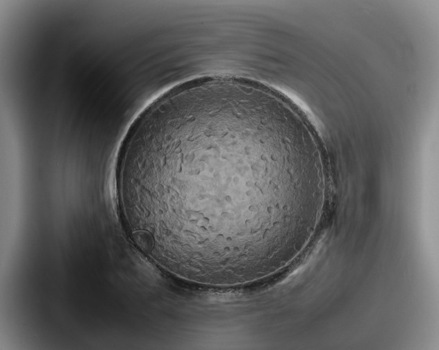 X0000087710887200705111419