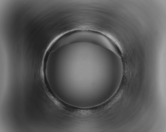 X0000087710888200705111419