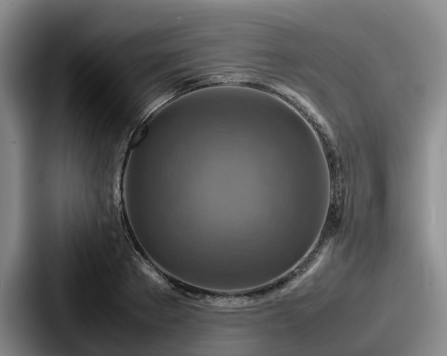 X0000087710889200705111419