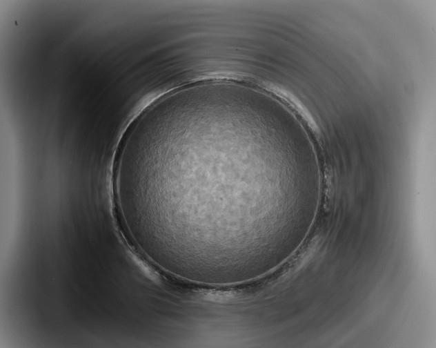 X0000087710890200705111419