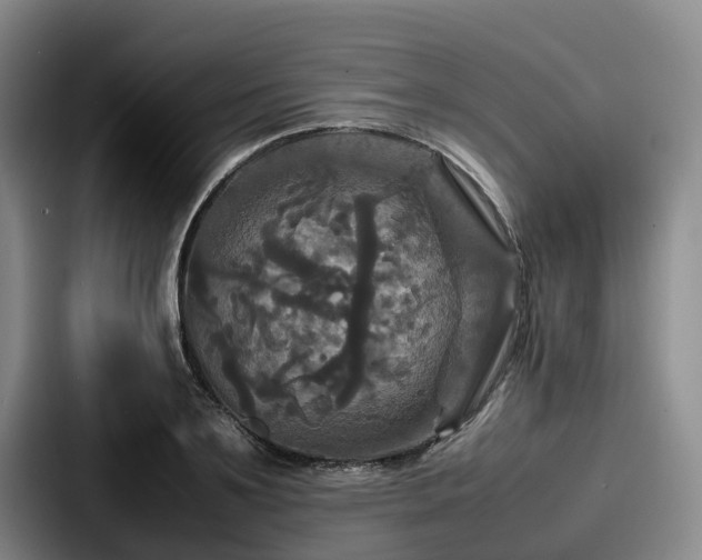 X0000087710891200705111419