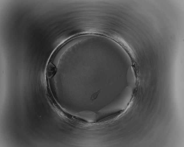 X0000087710892200705111419