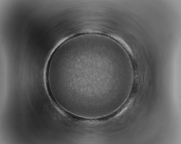 X0000087710893200705111419